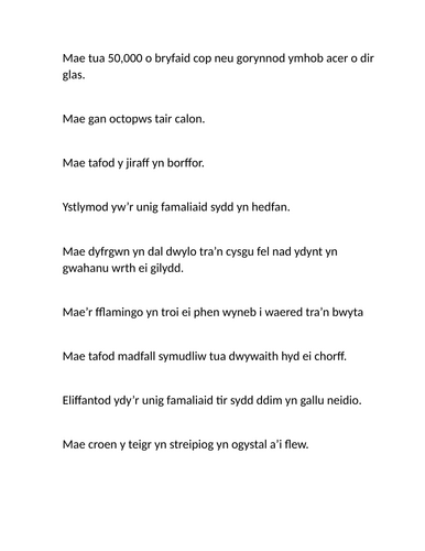 Ffeithiau diddorol am anifeiliaid: CYMRAEG  IAITH GYNTAF BLWYDDYN 6