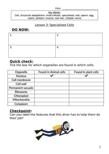 KS3 Year 7 - Lesson 3. Specialised cells