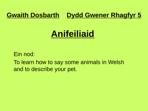 Anifeiliaid  - introduction to animals in Welsh