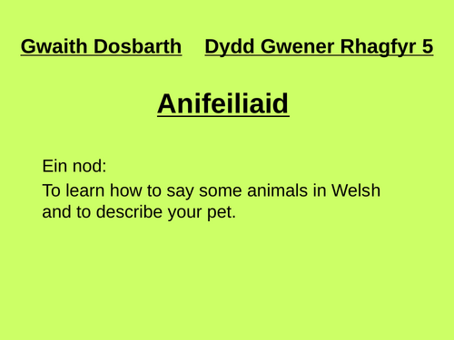 Anifeiliaid - introduction to animals in Welsh | Teaching Resources