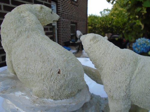 POLAR BEARS