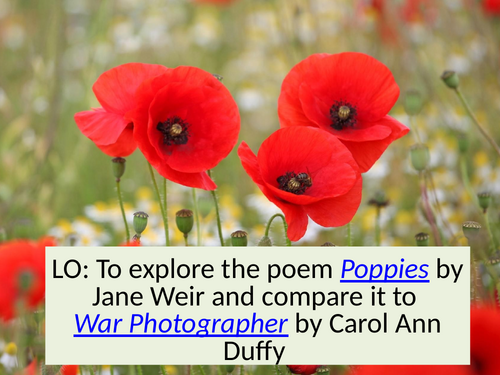 Comparison between 'War Photographer' by Carol Ann Duffy and 'Poppies' by Jane Weir