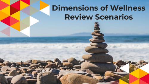 Dimensions of Wellness Scenarios