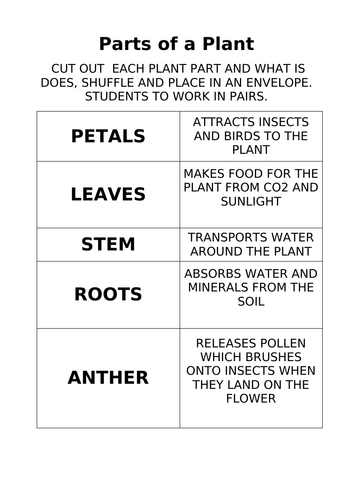 Parts of the plant matching pair game