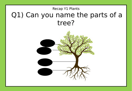 Year 2 Science Retrieval Quiz  Knowledge Recap