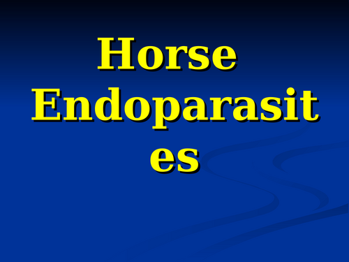 Equine Endoparasites Revision Lesson