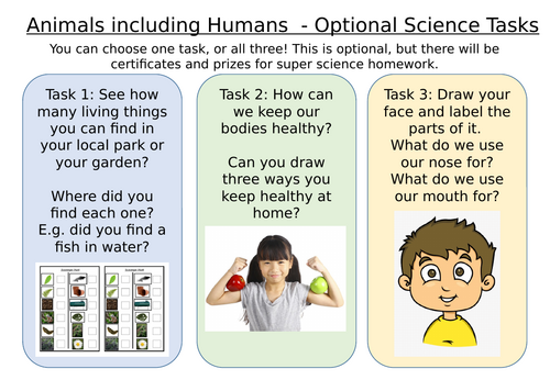 Science Homework Tasks for KS1  - Science Project Ideas