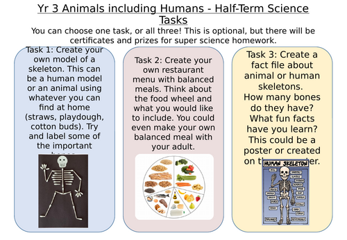 Science Homework Tasks - Science Projects LKS2 Year 3 and Year 4
