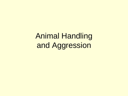 Animal Handling & Aggression Powerpoint
