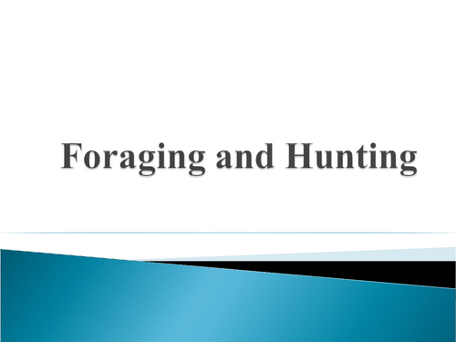 Animal Foraging & Hunting Powerpoint