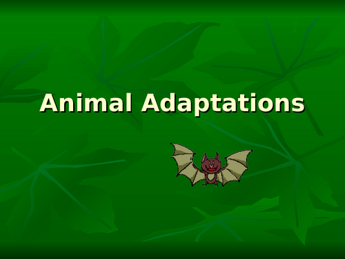 Animal Adaptions Powerpoint