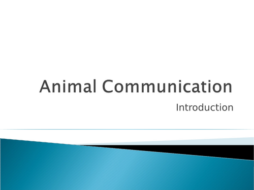 Animal Communication Powerpoint