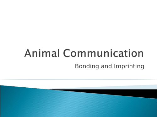Animal Communication Bonding & Imprinting