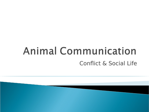 Animal Communication - Social Conflict