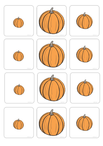 Small, Medium, Long Pumpkin