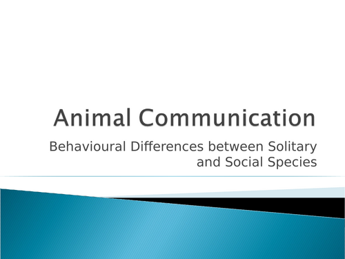 Animal Communication - Behavioural Differences between Social & Solitary Species