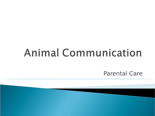 Animal Communication - Parental Care
