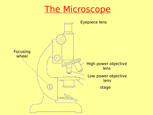 Microscopy Required Practical Combined Science