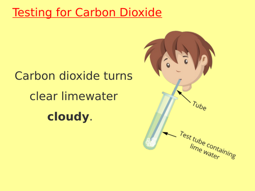 Testing for Carbon Dioxide and Chlorine