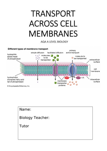 A-Level AQA Biology - Transport Across Membranes Workbook