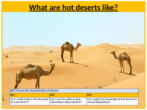 Hot Desert Characteristics Lesson - Climate and Animal Adaptations