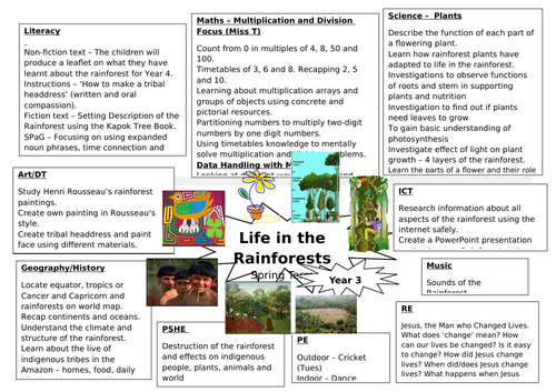 Rainforest Topic Web LKS2