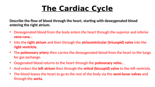 A-Level AQA Biology - Cardiac Cycle