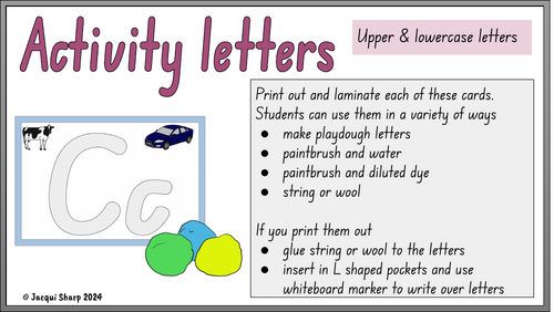 Uppercase & Lowercase Activity letters