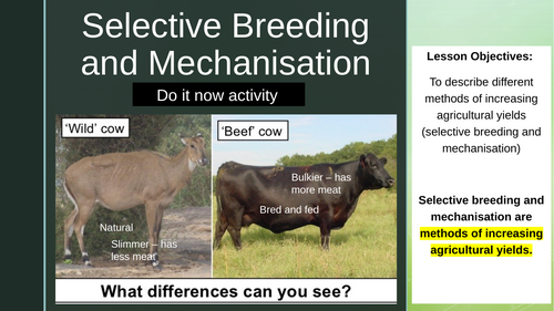 Selective Breeding and Mechanisation - Agriculture - iGCSE Environmental Management