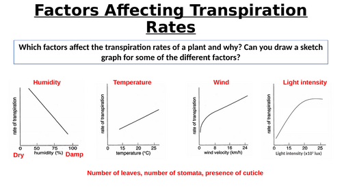 A-Level AQA Biology - Measuring Transpiration Rates