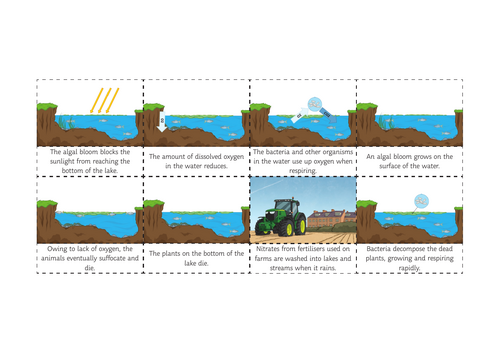 Fertilisers - Agriculture - iGCSE Environmental Management