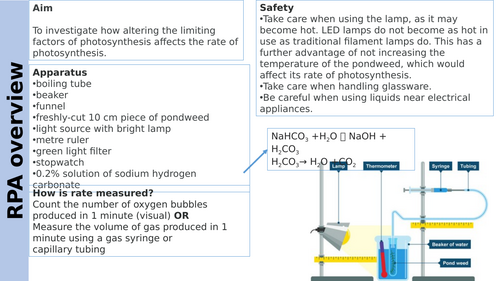 Factors affecting photosynthesis