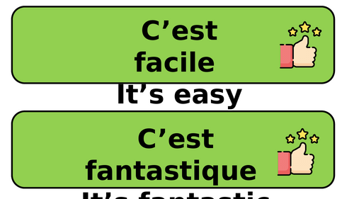 French adjectives display