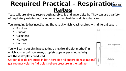 A-Level AQA Biology - Respiration Required Practical