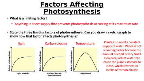 A-Level AQA Biology - Factors Affecting Photosynthesis