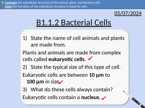 GCSE Biology: Bacterial Cells