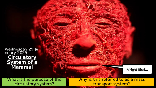 7.3 Circulatory System of a Mammal