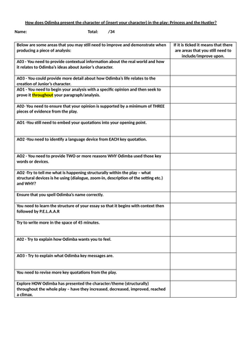 A class feedback sheet for Princess & The Hustler