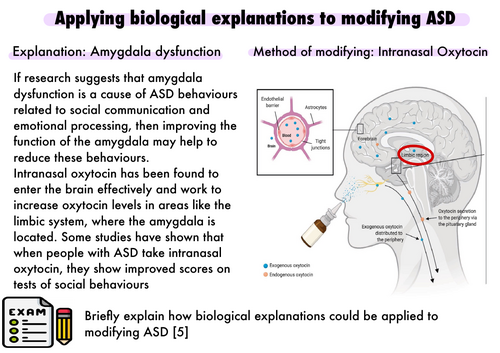 Comp 3 -applying explanations to modifying ASD