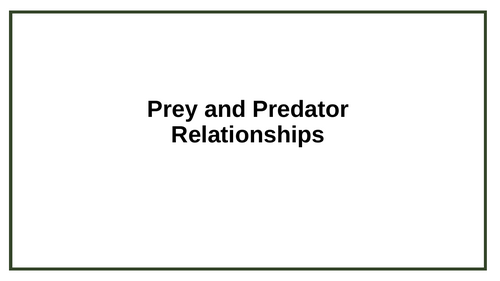 Prey and Predator Relationships KS3