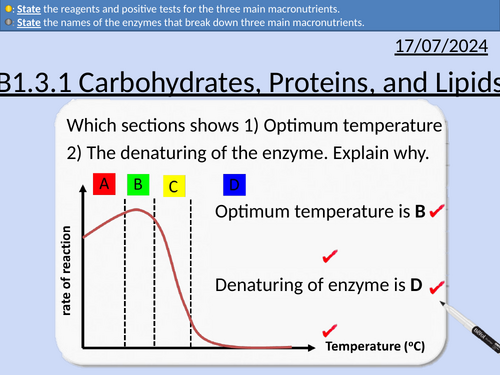 GCSE Biology: Carbohydrates, Proteins, and Lipids