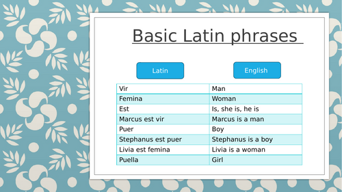 Latin Basic Phrases Booklet