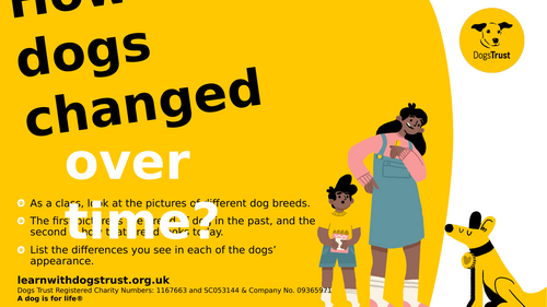 How Dogs Have Changed Over Time