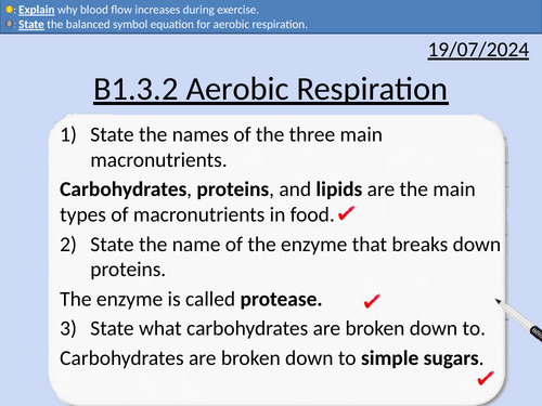 GCSE Biology: Aerobic Respiration