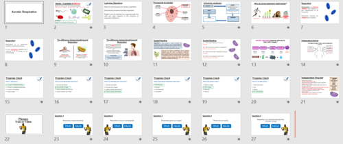 Aerobic Respiration KS3