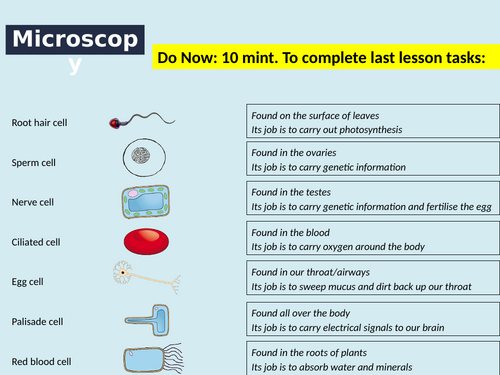 GCSE - Cell biology 4 - Microscope and magnification calculations