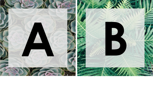 Natural Theme Capital Letter Flashcards