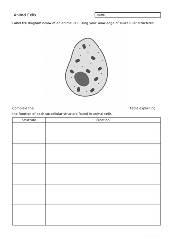 Cell Structures Worksheets