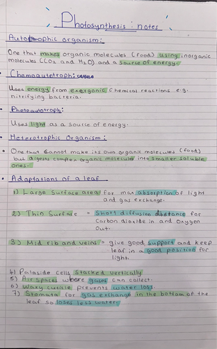 Photosynthesis A level Biology notes