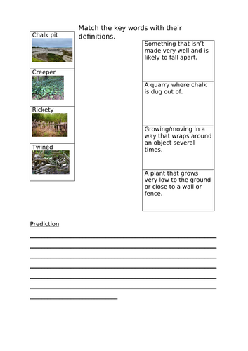 KS2 Stig of the Dump Reading activity
